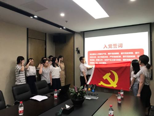 公司第一黨支部、第二黨支部分別召開黨員大會暨“不忘初心，牢記使命”主題教育專題黨員活動日