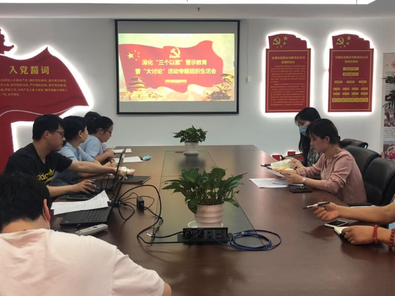 公司第一黨支部召開(kāi)深化“三個(gè)以案”警示教育暨“大討論”活動(dòng)專題組織生活會(huì)