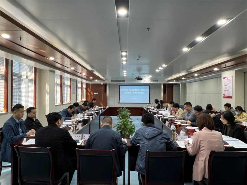 皖投置業(yè)公司召開(kāi)省委巡視整改工作領(lǐng)導(dǎo)小組暨大監(jiān)督工作領(lǐng)導(dǎo)小組會(huì)議