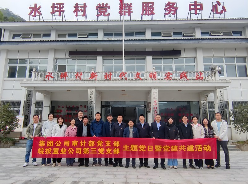 皖投置業(yè)公司與集團(tuán)公司審計(jì)部赴金寨開(kāi)展支部共建并舉行捐贈(zèng)儀式